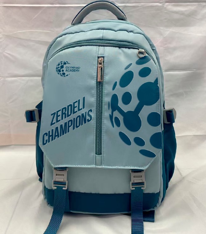 Рюкзак ZERDELI Champions Blue